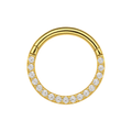 316L Surgical Steel Pave Crystal Hinged Clicker