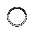 G23 Titanium Pave Crystal Hinged Clicker Segment Ring