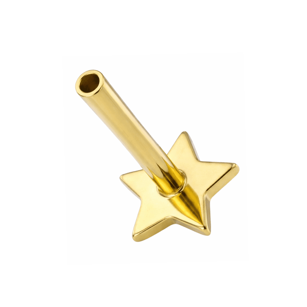 G23 Titanium Push Fit Star Labret Bar