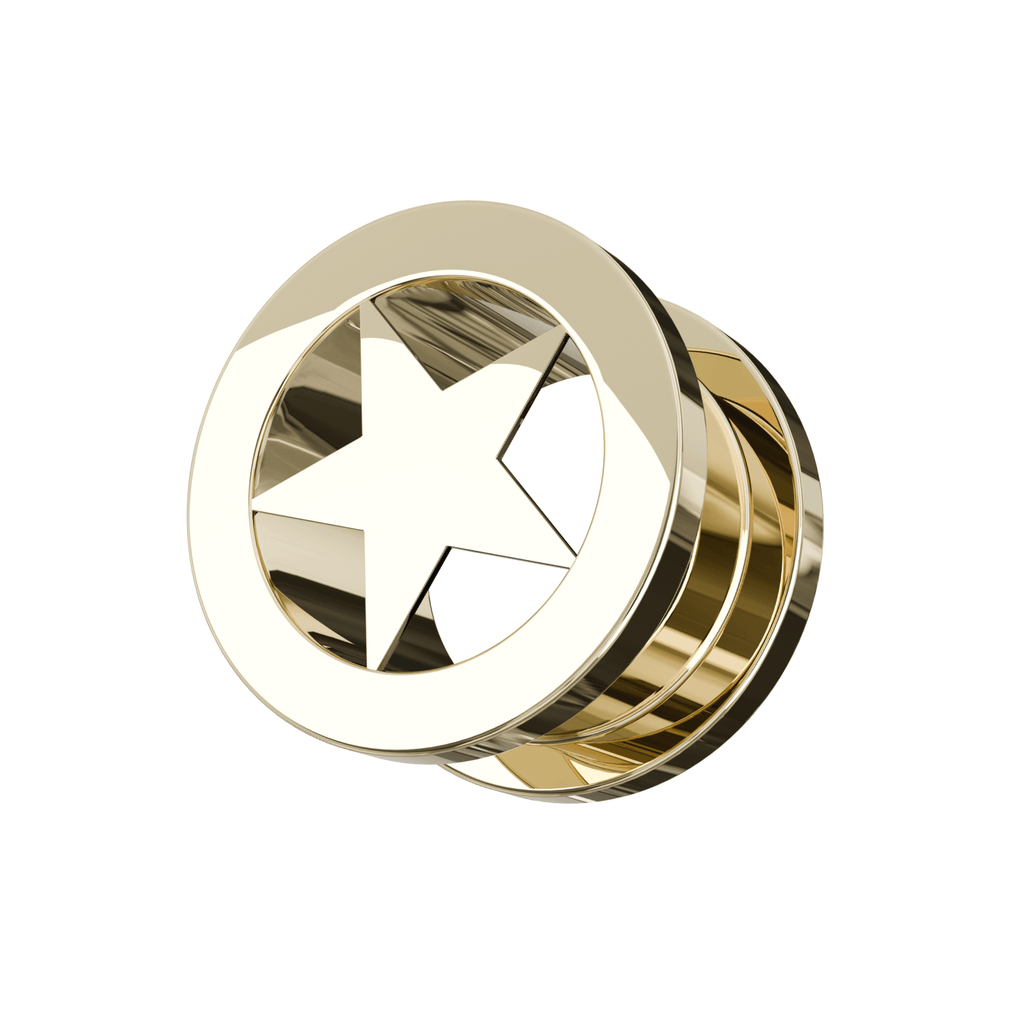 316L Surgical Steel Gold Star Screw Fit Flesh Tunnel