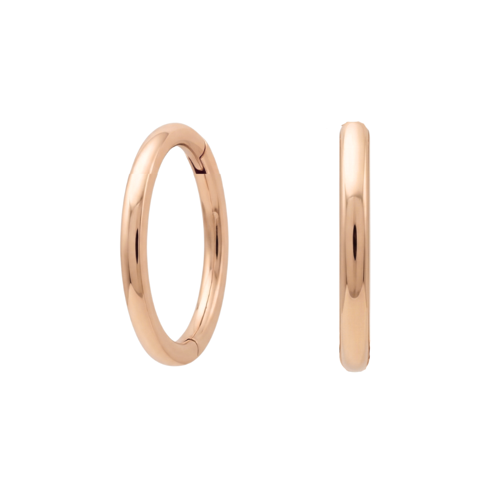 G23 Titanium Classic Hinged Segment Clicker Earrings