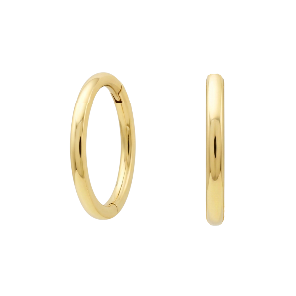 G23 Titanium Classic Hinged Segment Clicker Earrings