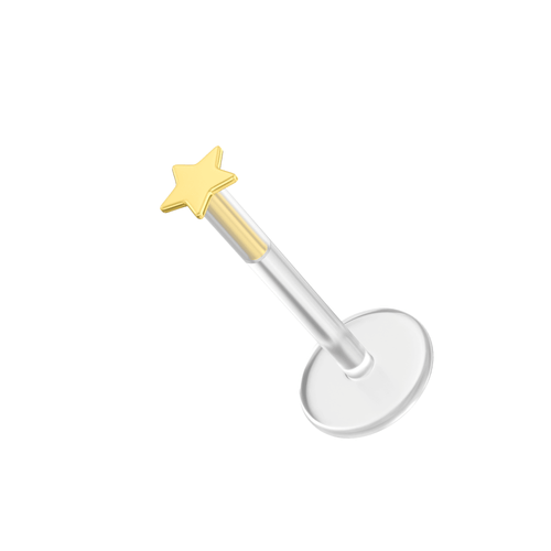 14K Gold Flat Star and BioFlex Stud