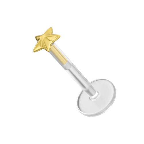 14K Gold Star Top & BioFlex Stud