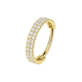 G23 Titanium Double Row CZ Jewelled Hinged Clicker Segment Ring