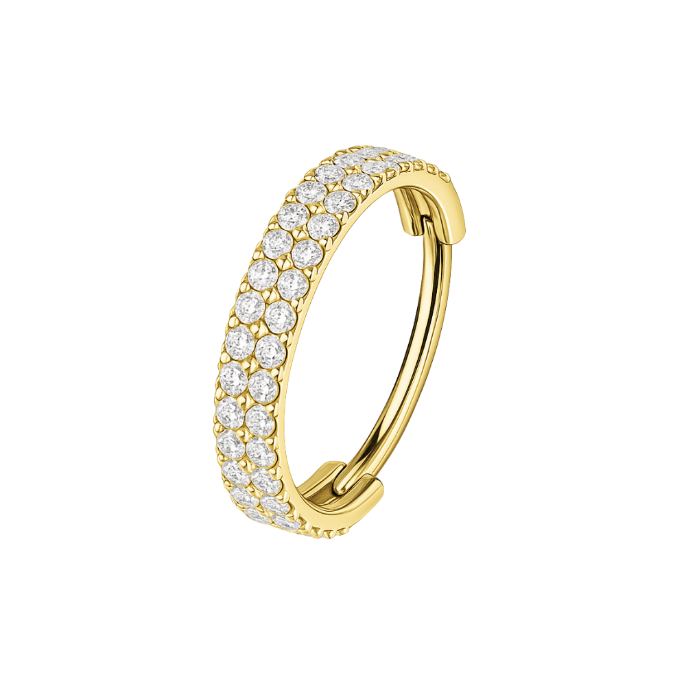 G23 Titanium Double Row CZ Jewelled Hinged Clicker Segment Ring