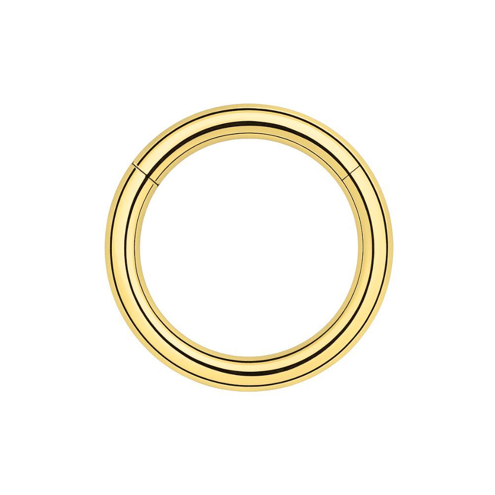 316L Surgical Steel 14G Hinged Segment Clicker Ring