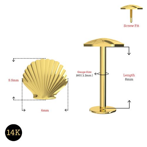 14K Gold Internally Threaded Shell Screw Fit Stud