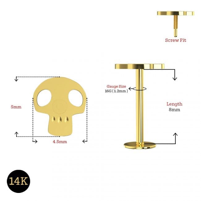 14K Gold Internally Threaded Skull Screw Fit Stud