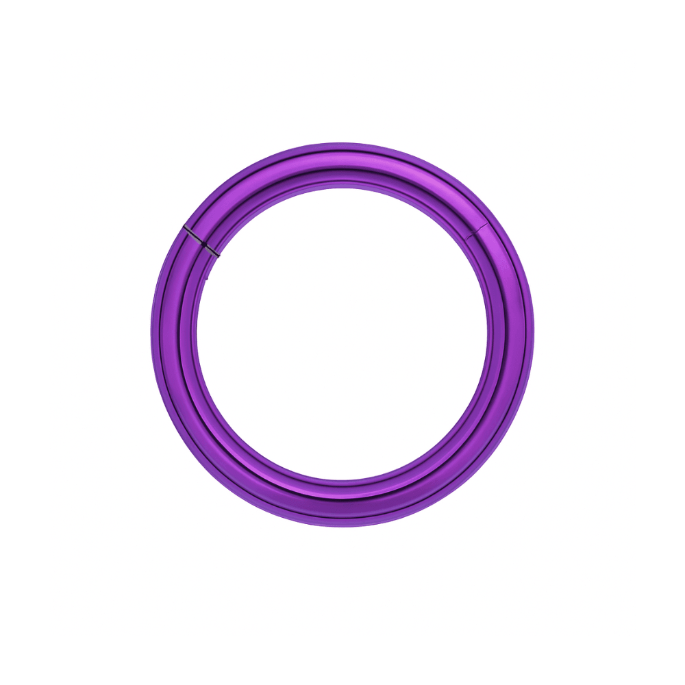 316L Surgical Steel 14G Hinged Segment Clicker Ring