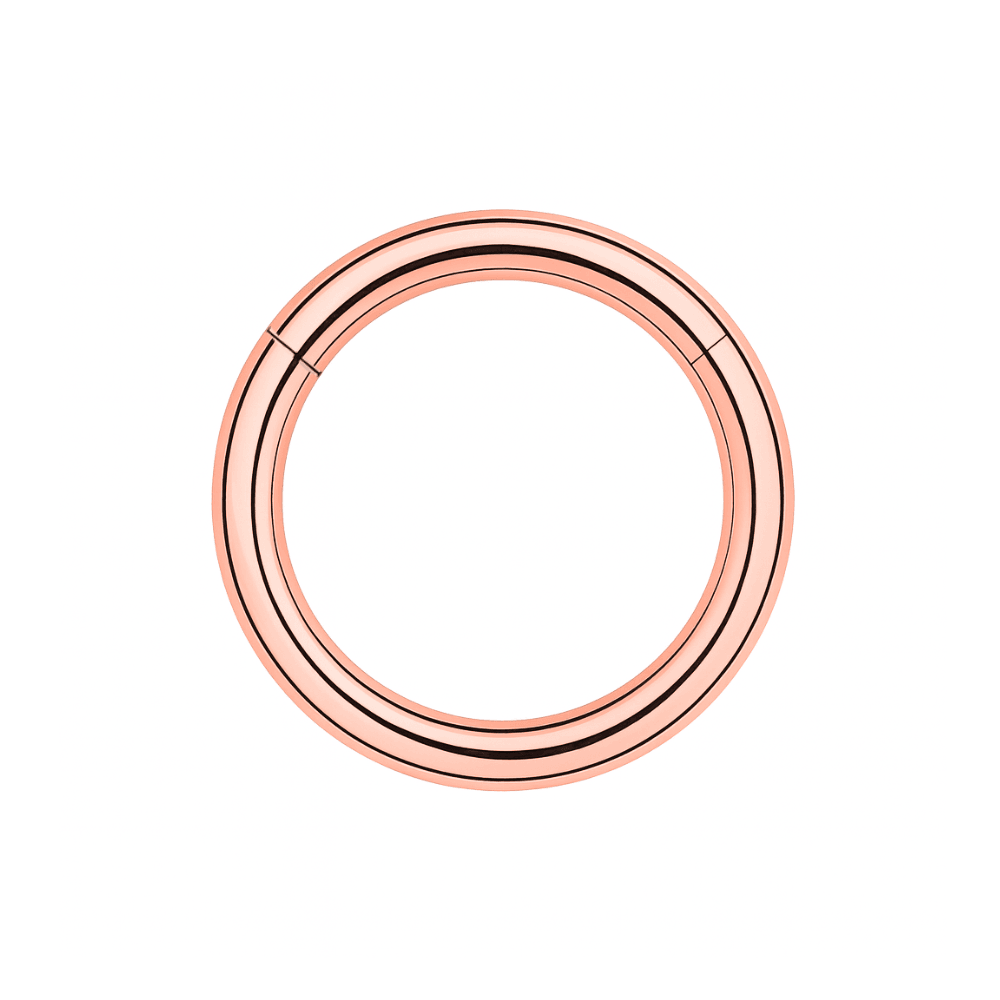 316L Surgical Steel 14G Hinged Segment Clicker Ring