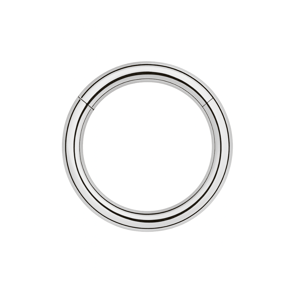 316L Surgical Steel 14G Hinged Segment Clicker Ring