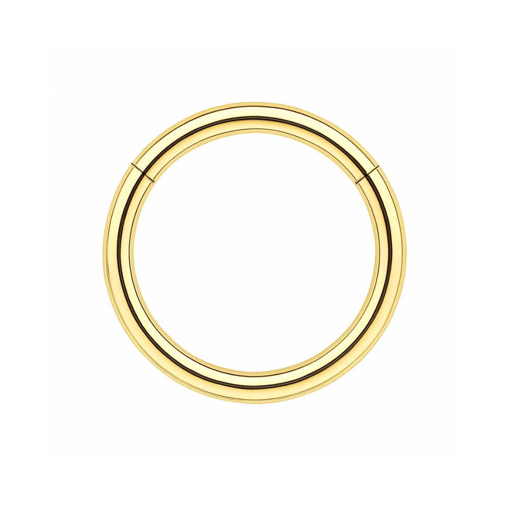 316L Surgical Steel 16G Hinged Segment Clicker Ring
