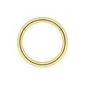 316L Surgical Steel 16G Hinged Segment Clicker Ring