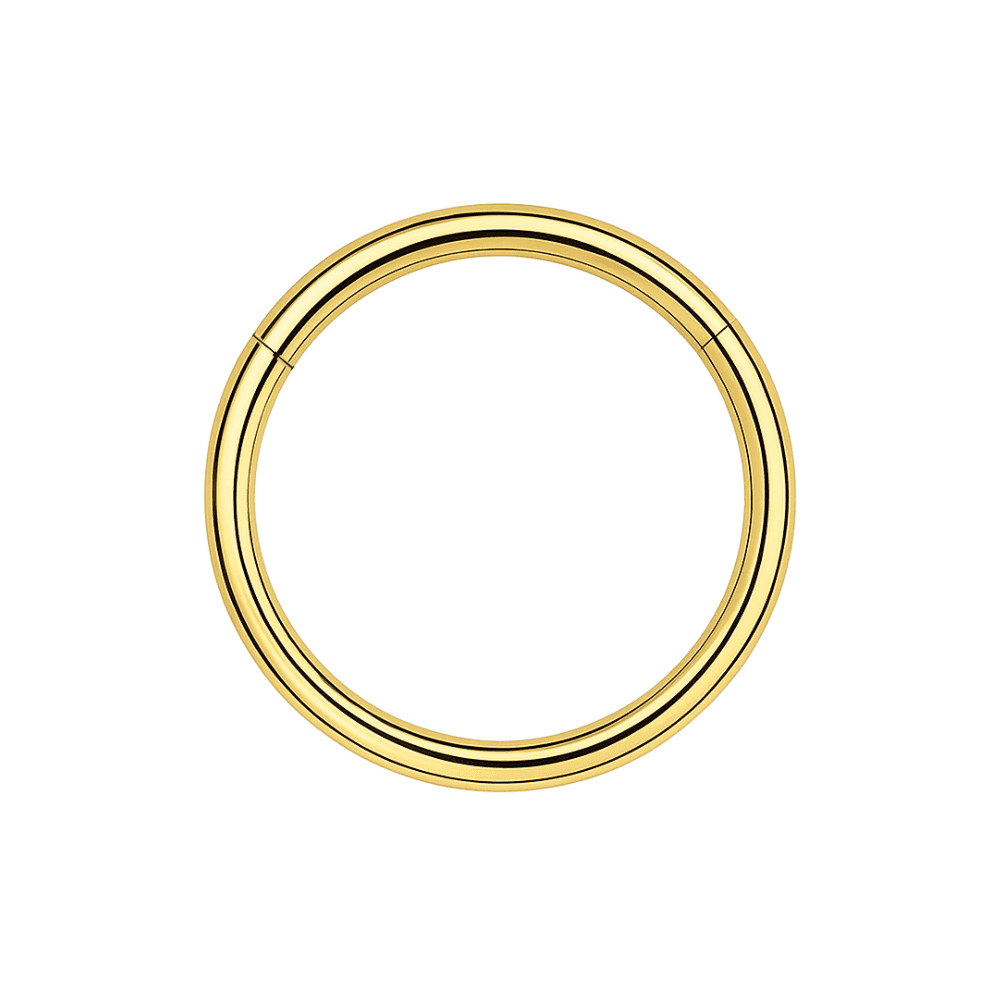 G23 Titanium Classic Hinged Segment Clicker Ring