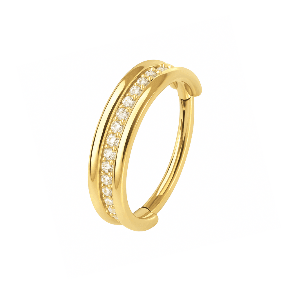 G23 Titanium CZ Jewelled Hinged Clicker Segment Ring