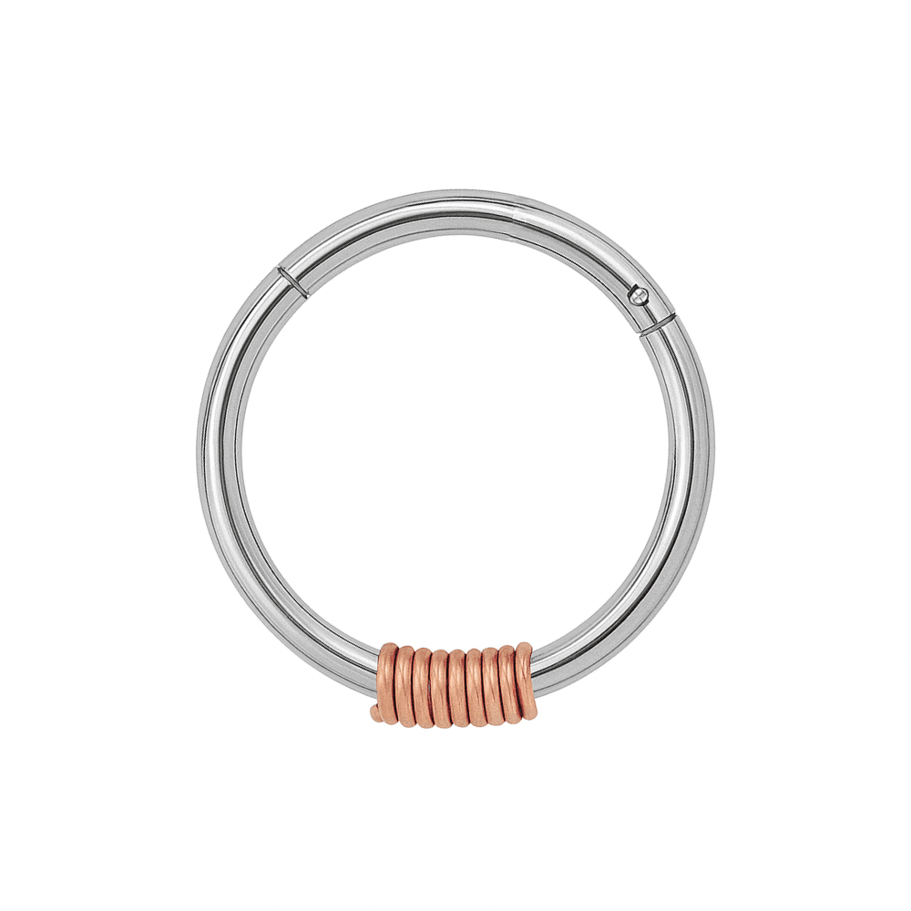 316L Surgical Steel Hinged Segment Ring with Spring