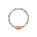316L Surgical Steel Hinged Segment Ring with Spring