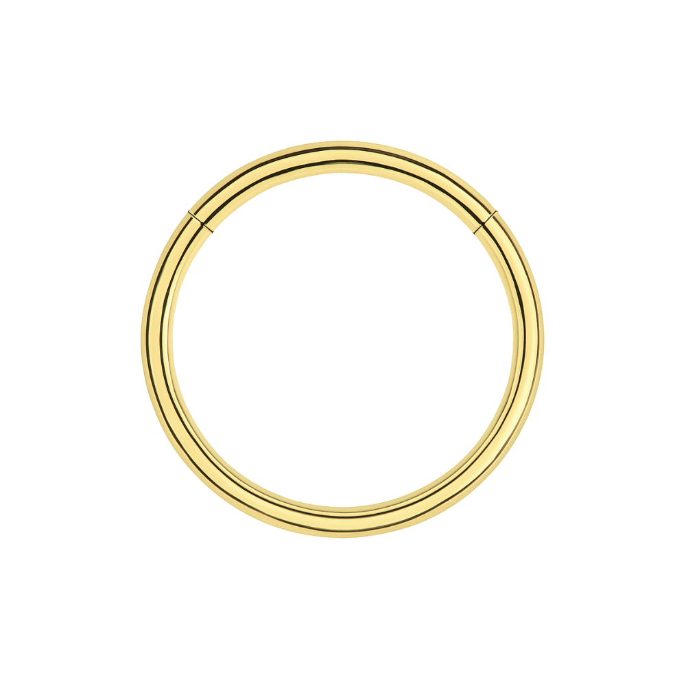 316L Surgical Steel 20G Hinged Segment Clicker Ring