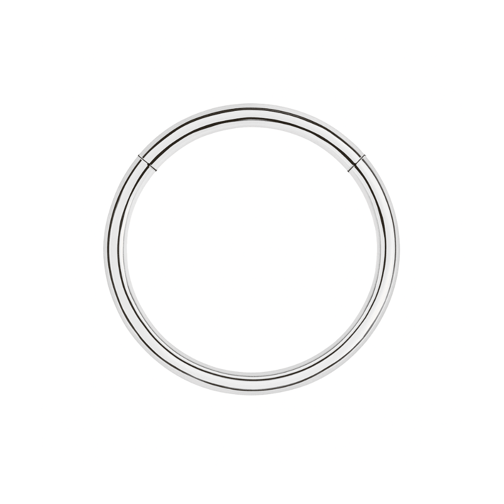 316L Surgical Steel 20G Hinged Segment Clicker Ring