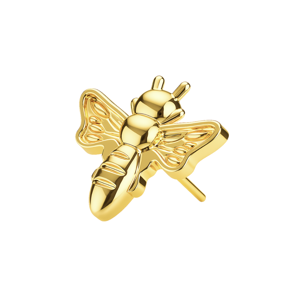 G23 Titanium Buzzing Bee Threadless Top