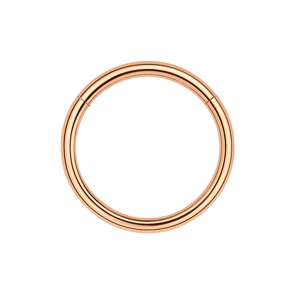 316L Surgical Steel 18G Hinged Segment Clicker Ring