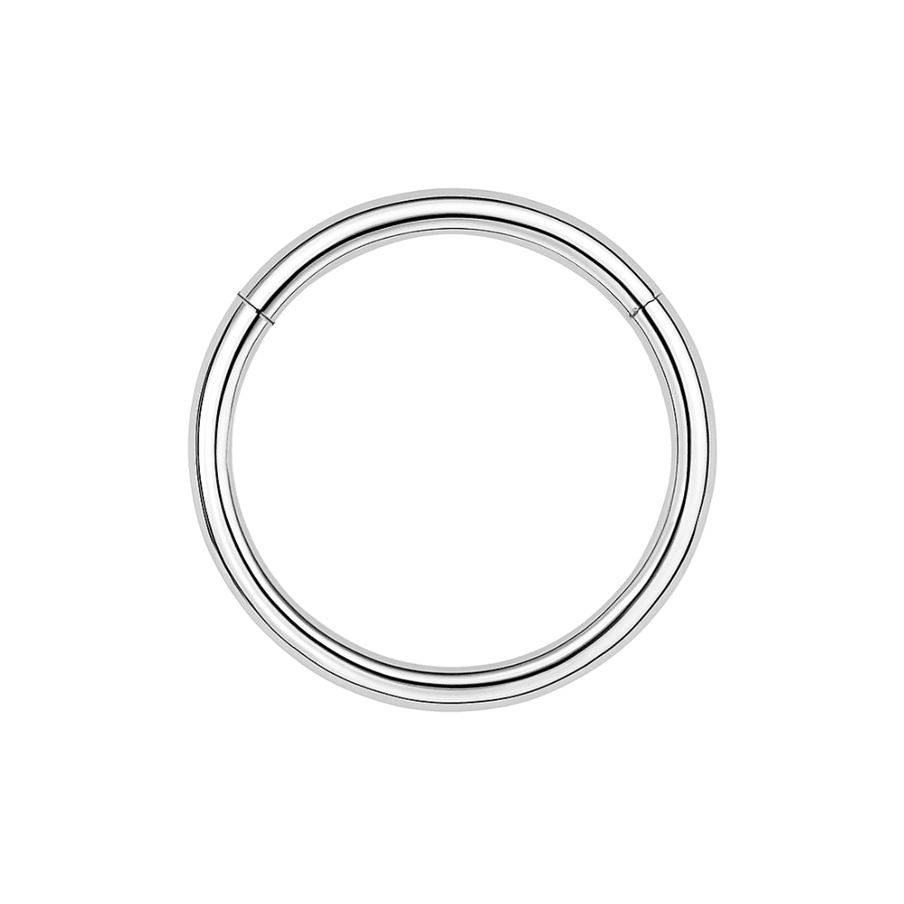 316L Surgical Steel 18G Hinged Segment Clicker Ring