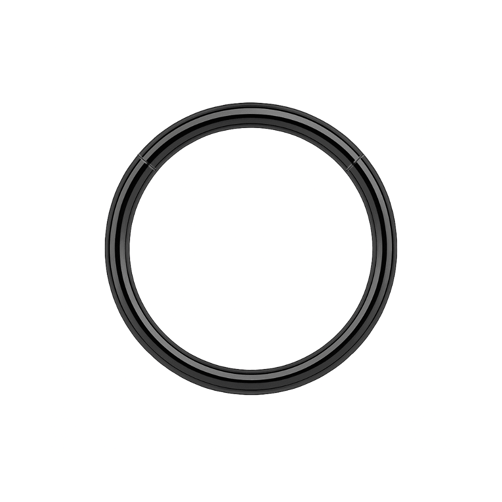 316L Surgical Steel 20G Hinged Segment Clicker Ring
