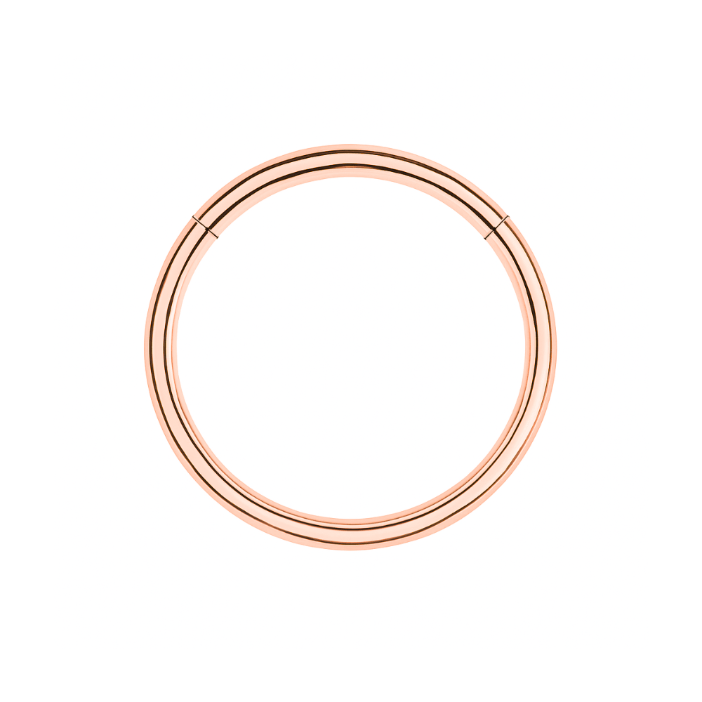 316L Surgical Steel 20G Hinged Segment Clicker Ring