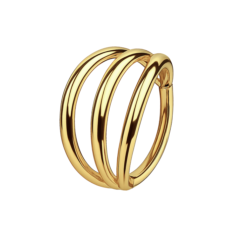 316L Surgical Steel Triple Stack Hinged Segment Clicker Ring
