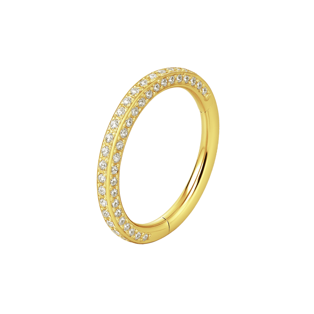 316L Surgical Steel Double Jewelled Micro Setting CZ Stones Hinged Segment Clicker Ring