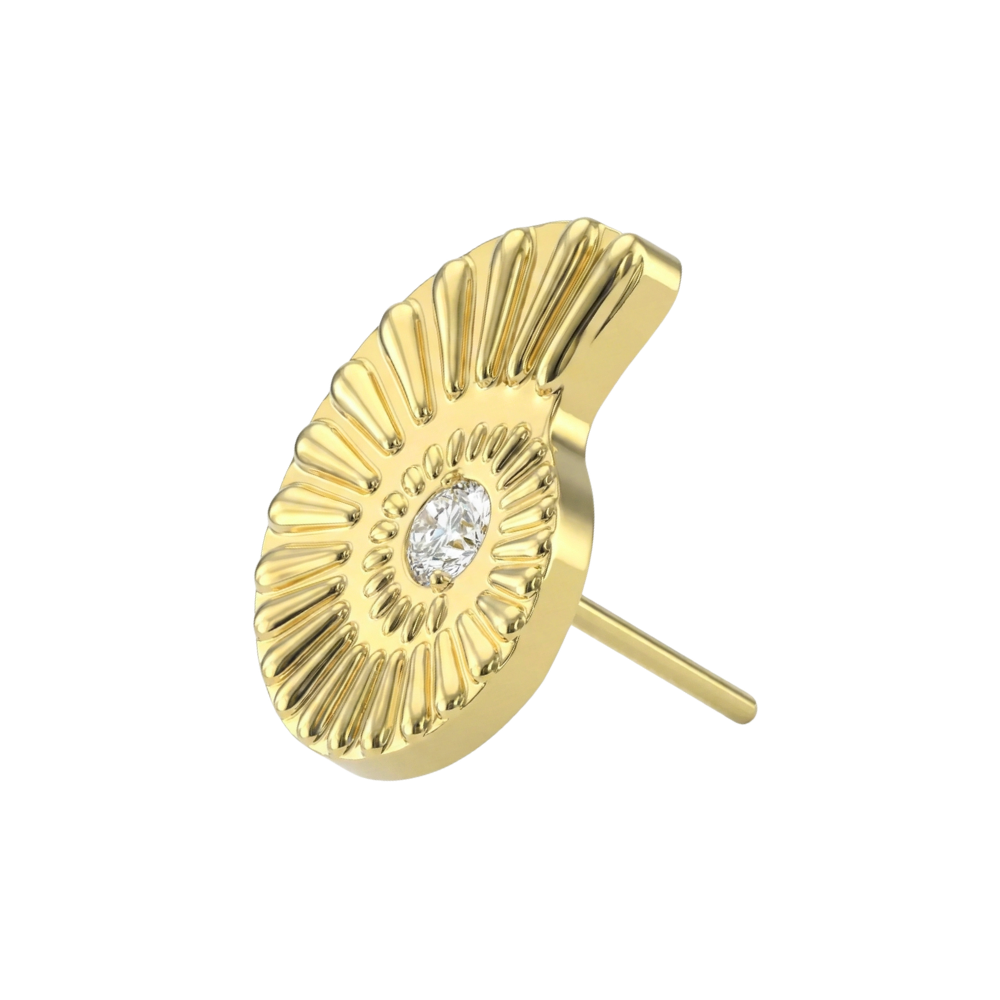 G23 Titanium Nautilus Shell Threadless Labret Accessory Top