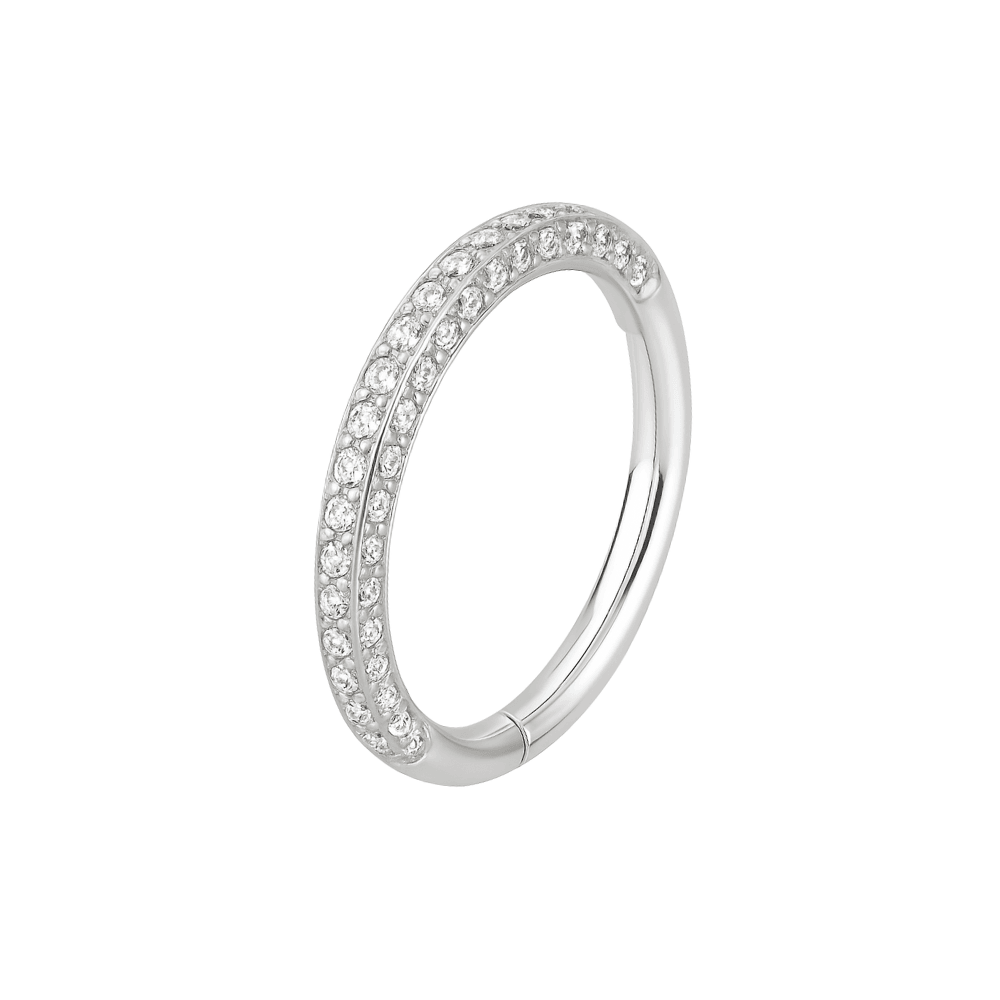 316L Surgical Steel Double Jewelled Micro Setting CZ Stones Hinged Segment Clicker Ring