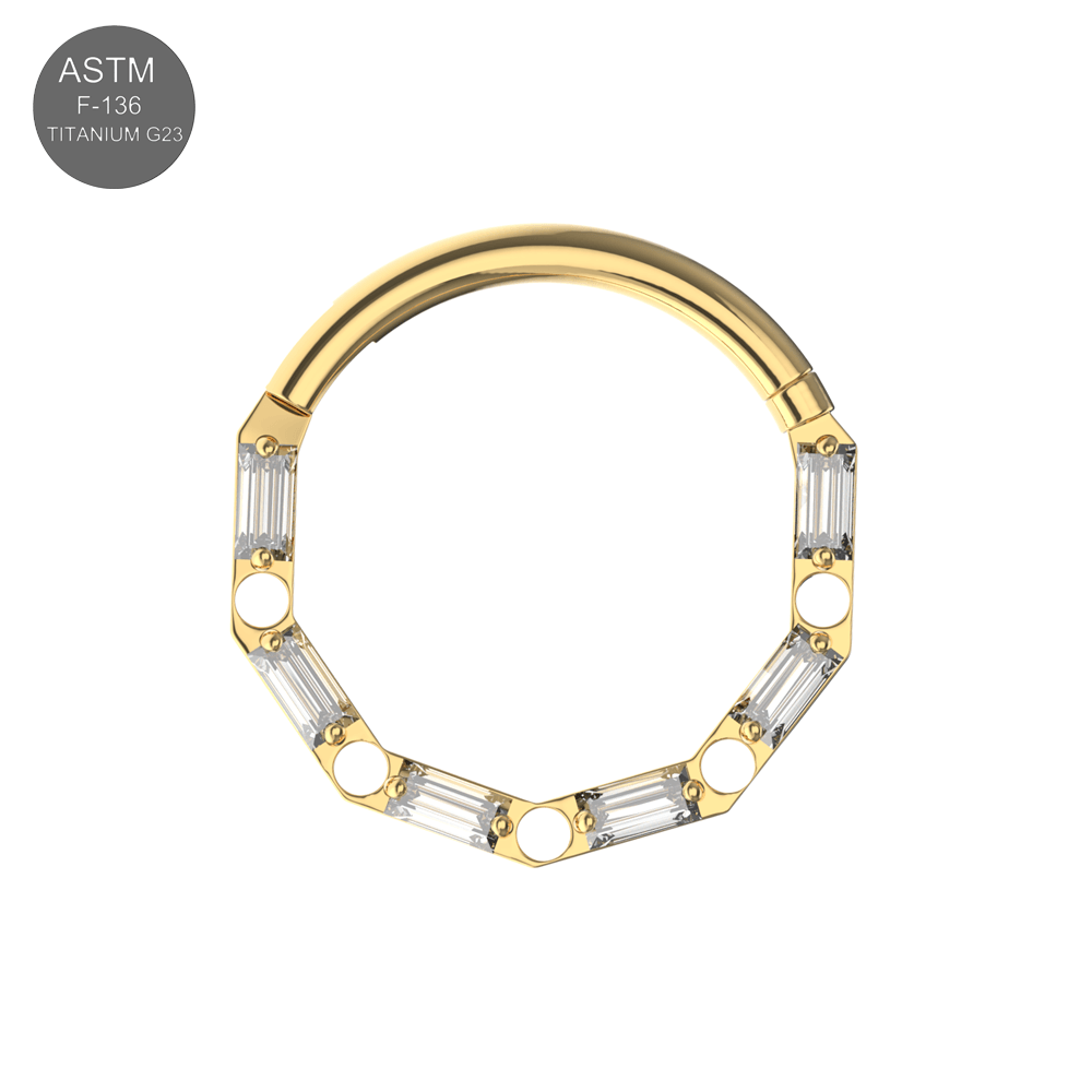 G23 Titanium Cubic Zirconia Baguette Linked Hinged Segment Clicker Ring