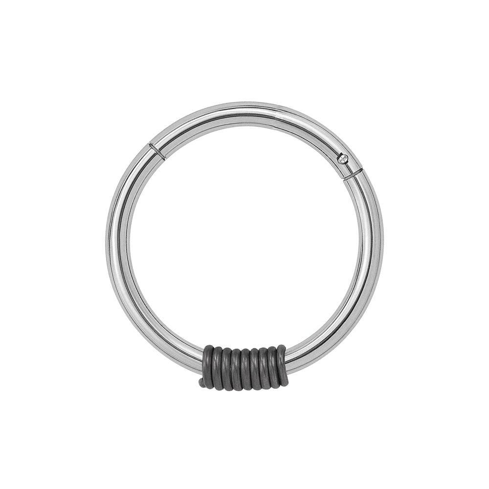 316L Surgical Steel Hinged Segment Ring with Spring