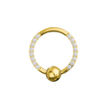 G23 Titanium Cubic Zirconia Studded BCR
