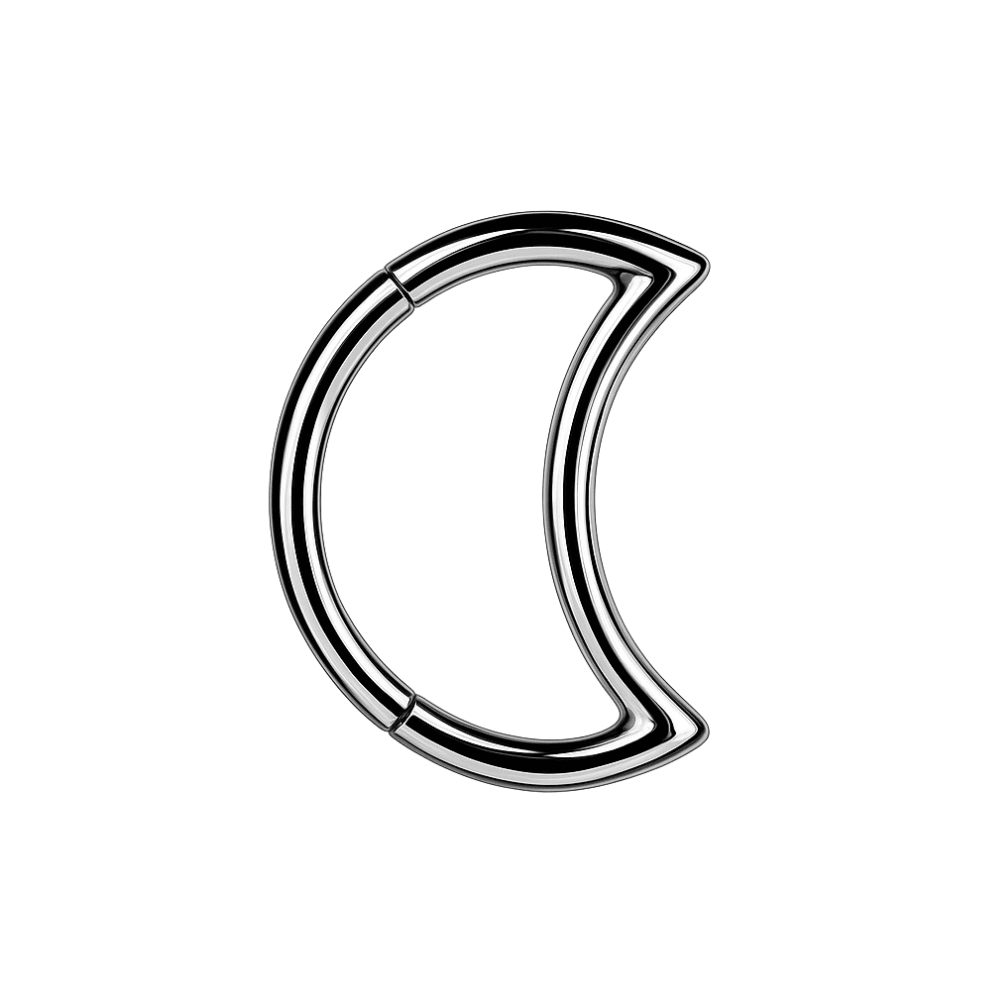 316L Surgical Steel Crescent Cut Segment Clicker Ring