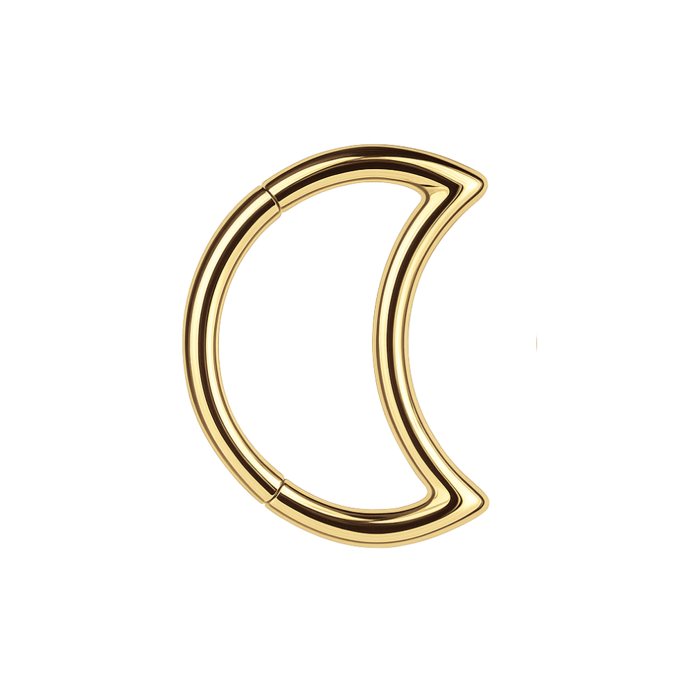 316L Surgical Steel Crescent Cut Segment Clicker Ring