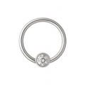 G23 Titanium CZ Jewelled Hinged Segment Clicker Ring