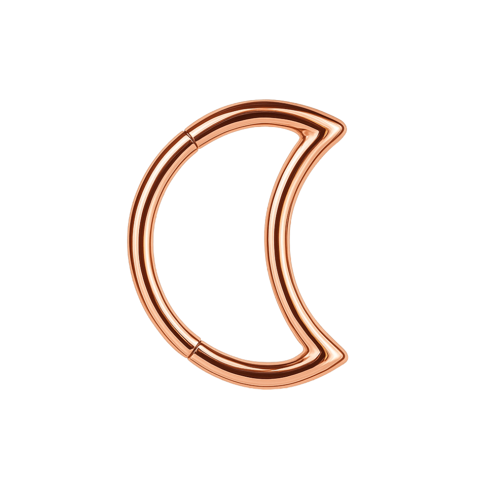 316L Surgical Steel Crescent Cut Segment Clicker Ring
