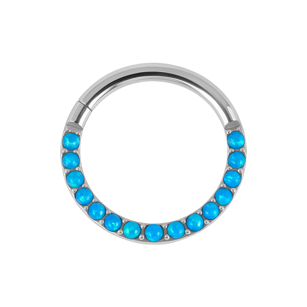 316L Surgical Steel Opal Studded Hinged Clicker Segment Ring