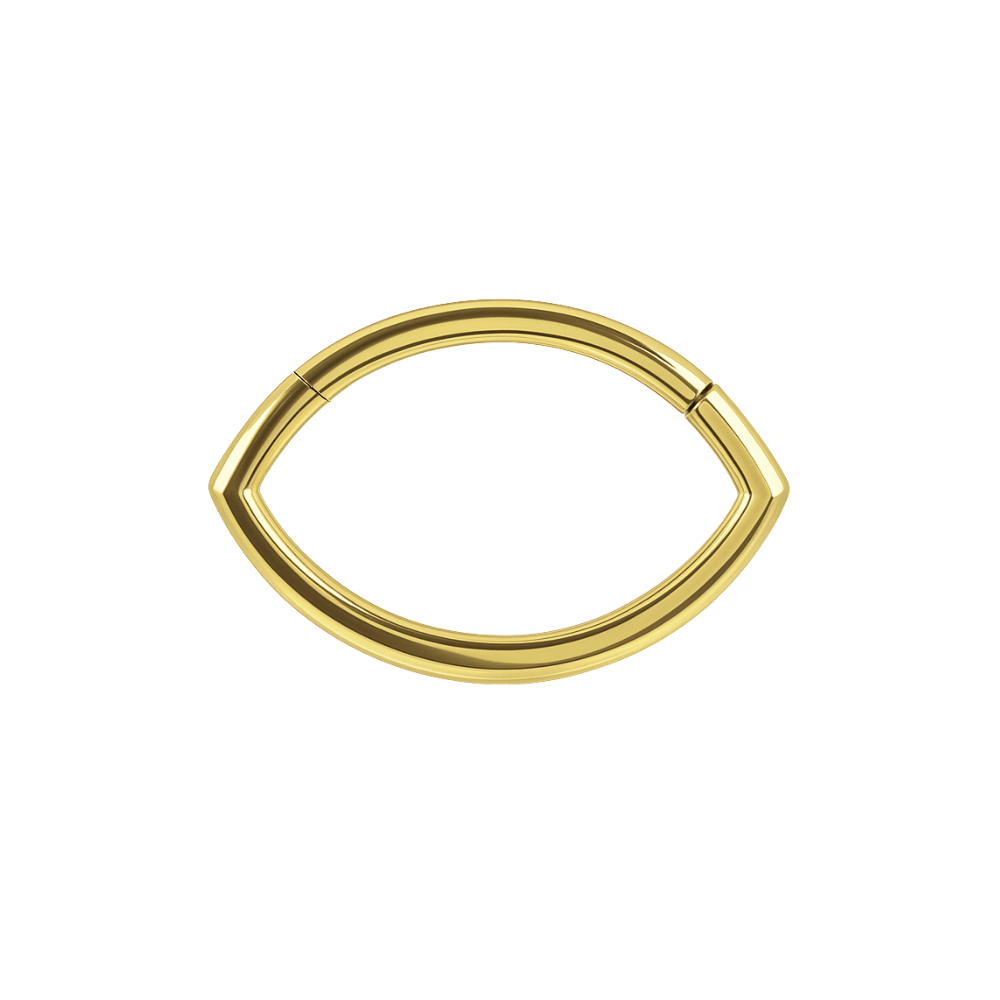 316L Surgical Steel Oval Classic Hinged Segment Clicker Ring