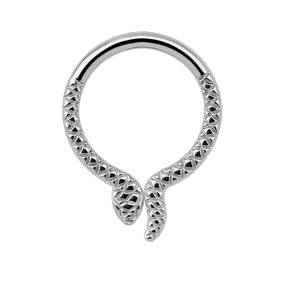 G23 Titanium Snake Design Segment Clicker Ring