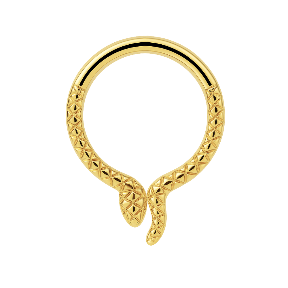 G23 Titanium Snake Design Segment Clicker Ring
