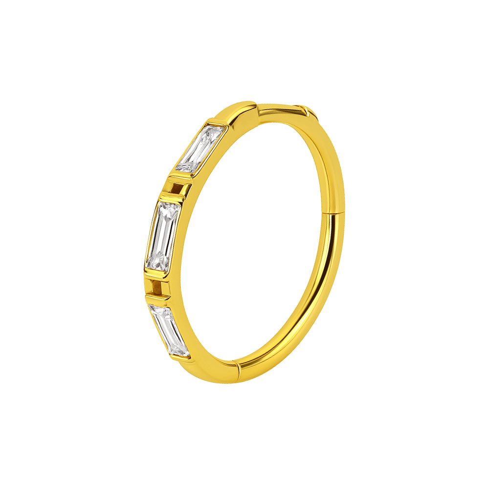 316L Surgical Steel Inlay Crystal Hinged Clicker Segment Ring
