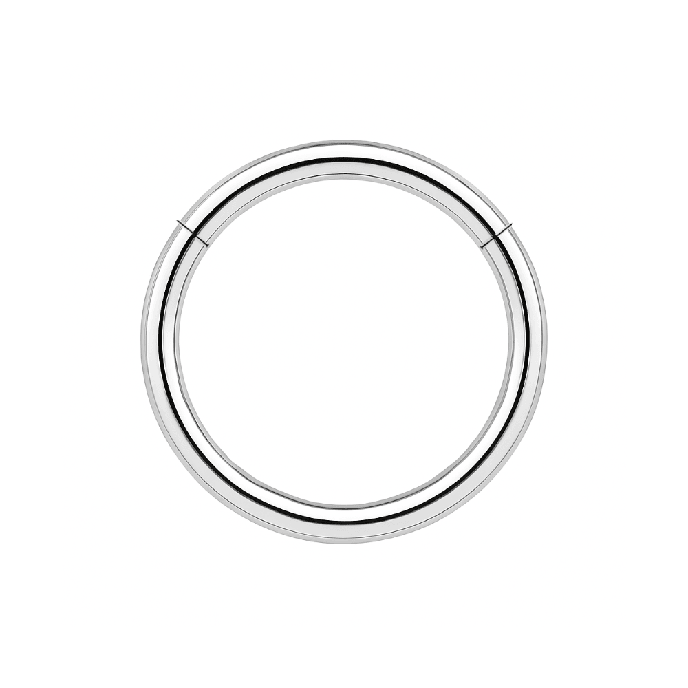 316L Surgical Steel 16G Hinged Segment Clicker Ring