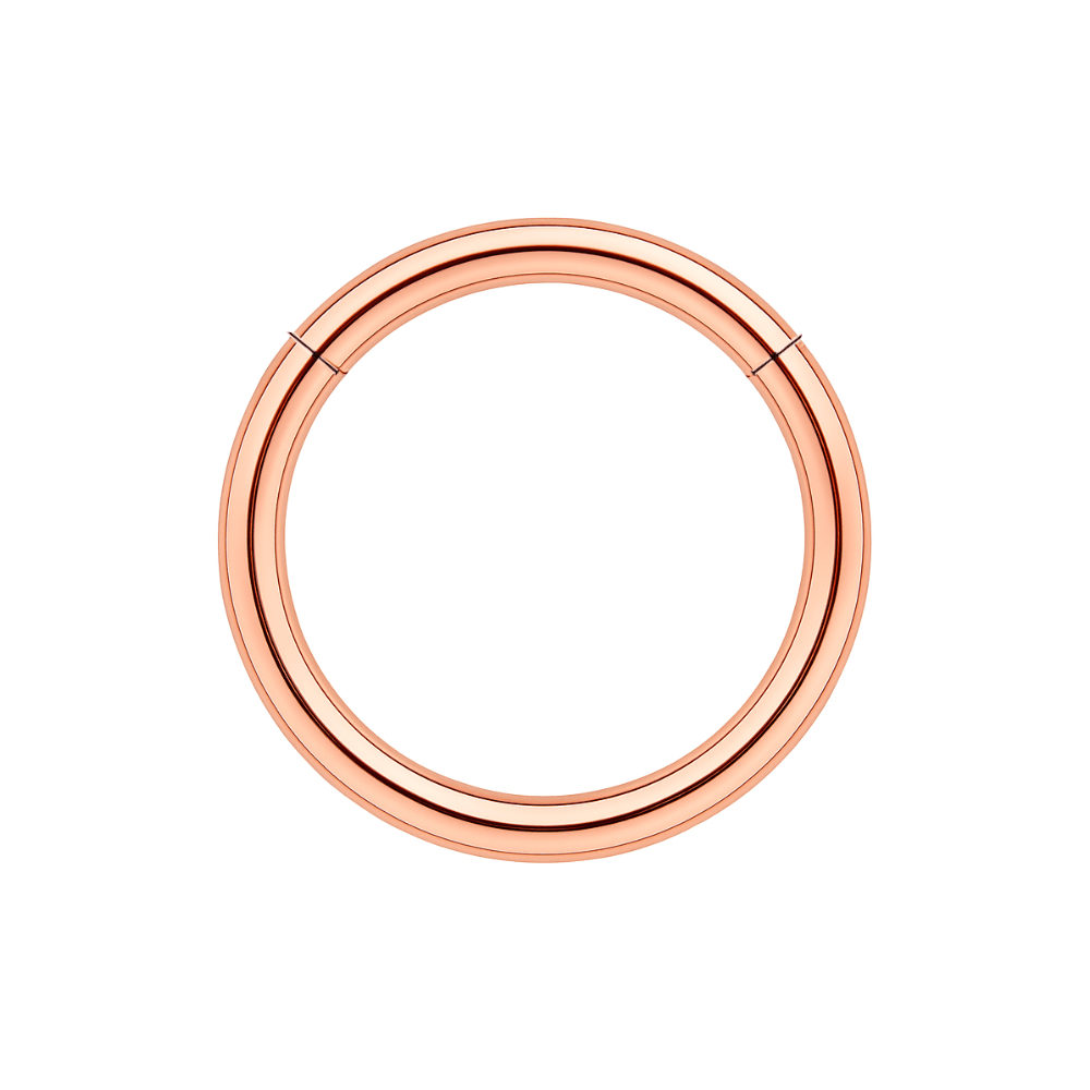 316L Surgical Steel 16G Hinged Segment Clicker Ring