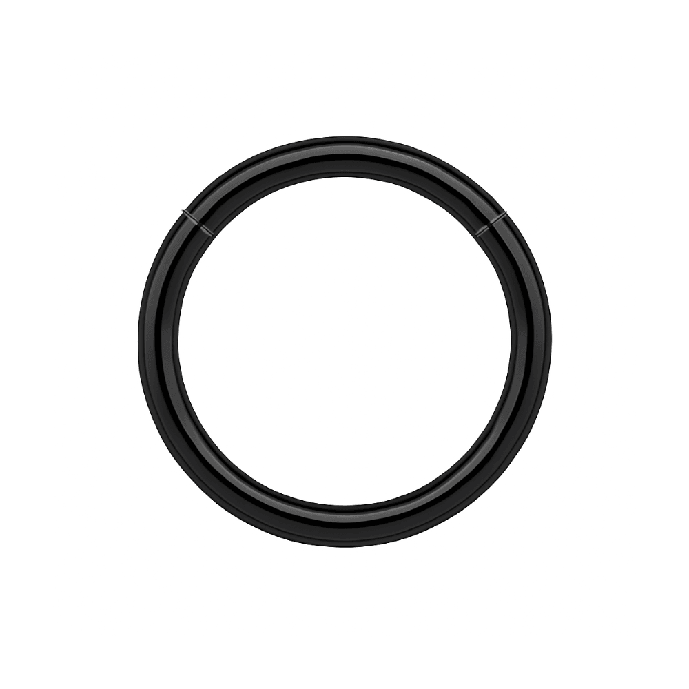 316L Surgical Steel 16G Hinged Segment Clicker Ring