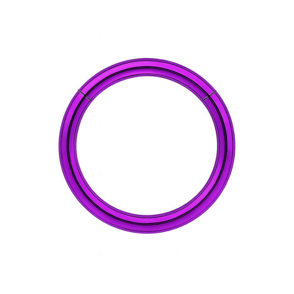 316L Surgical Steel 16G Hinged Segment Clicker Ring