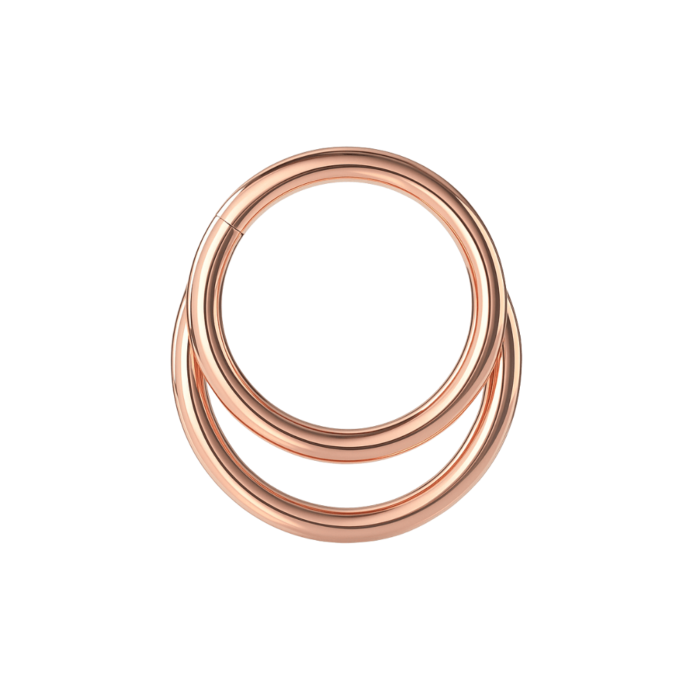 316L Surgical Steel Crescent Moon Hinged Segment Clicker Ring